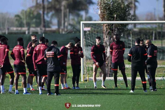 salernitana, allenamento con liverani (1)