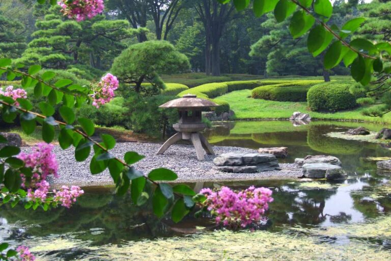 giardino dellistituto di cultura giapponese 1
