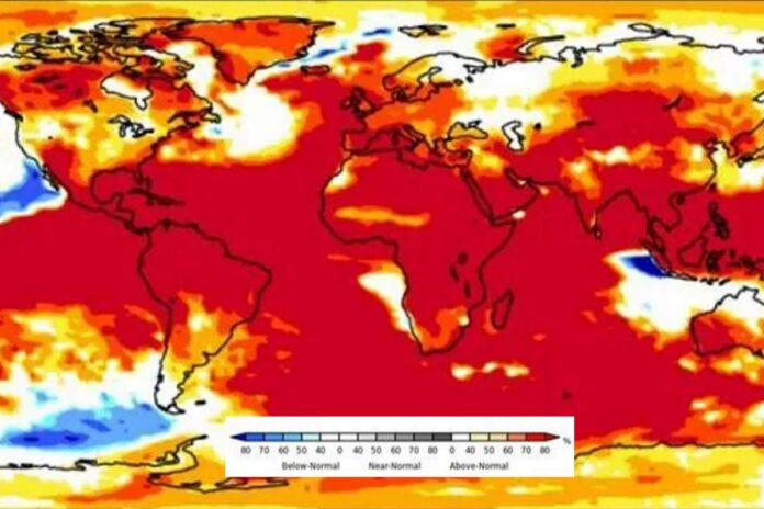 caldo wmo (1)