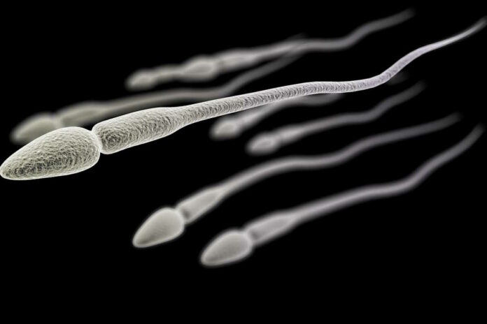 sperma legge newton