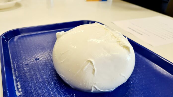 mozzarella di bufala campana dop