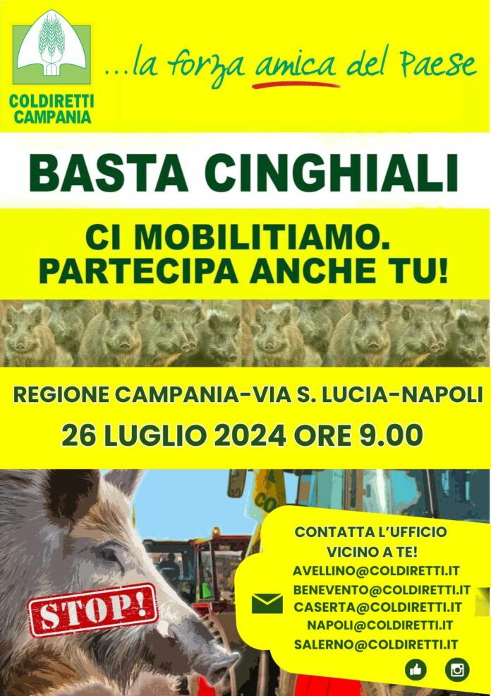 basta cinghiali