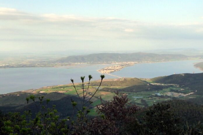 orbetello moria di pesci