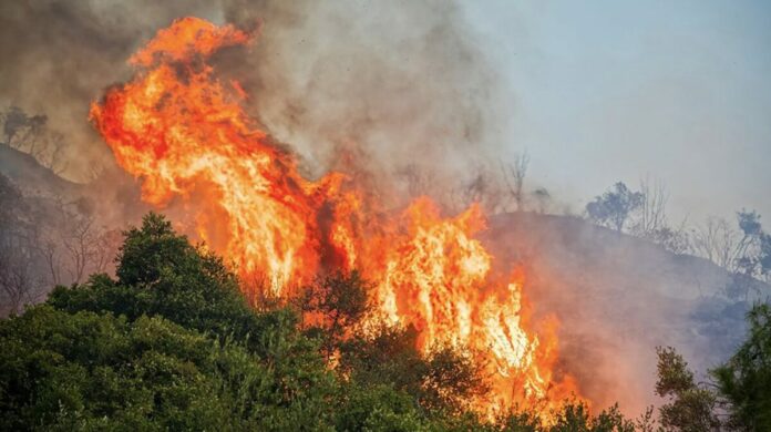 incendi sicilia 1200x672