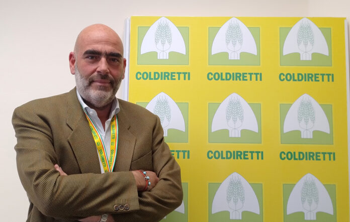 ettore bellelli presidente coldiretti campania