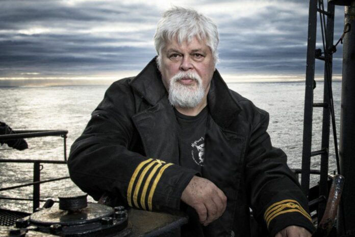 paul watson